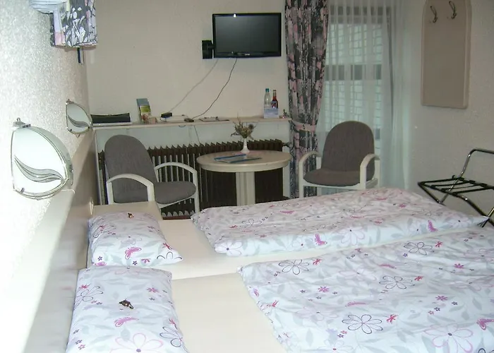 בית הארחה Gaestehaus Hochrhoenblick