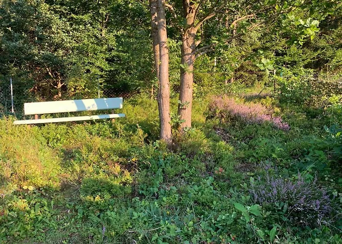 Gaestehaus Hochrhoenblick בית הארחה Schönau an der Brend