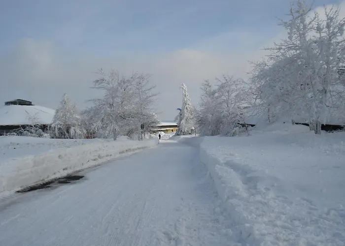 Gaestehaus Hochrhoenblick 3*