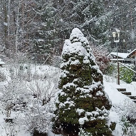 Gaestehaus Hochrhoenblick Schonau an der Brend