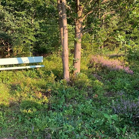 Gaestehaus Hochrhoenblick Гостевой дом Schonau an der Brend